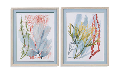 Seaweed Flow - Framed Print (Set of 2) - Light Blue