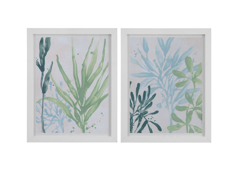 Swaying Seagrass - Framed Print - White
