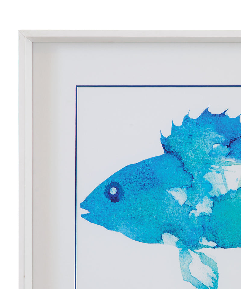 Watercolor Fish - I Framed Print - Blue / White