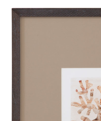 Parchment Coral - Framed Print (Set of 4) - Brown