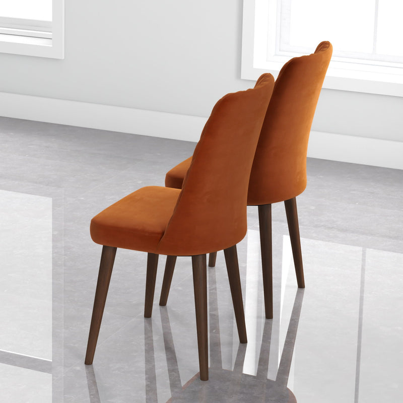 Katie - Mid-Century Modern Dining Chair (Set of 2)