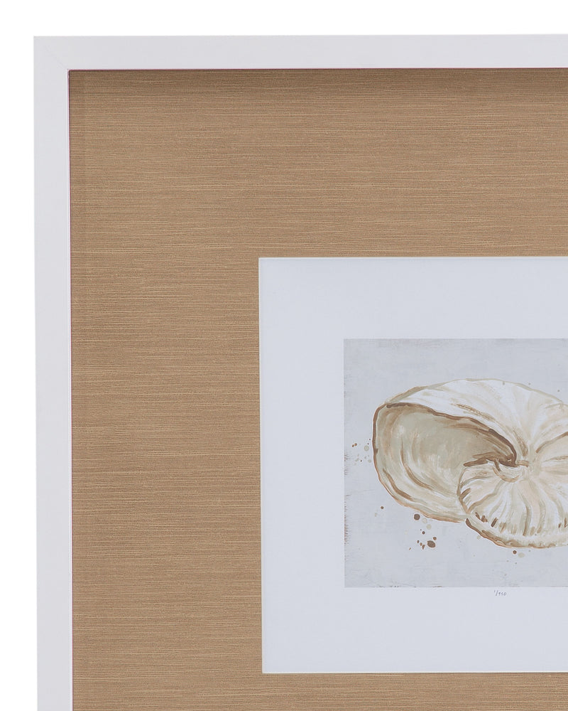 Neutral Shell Fresco - Framed Print (Set of 4) - Light Brown / White