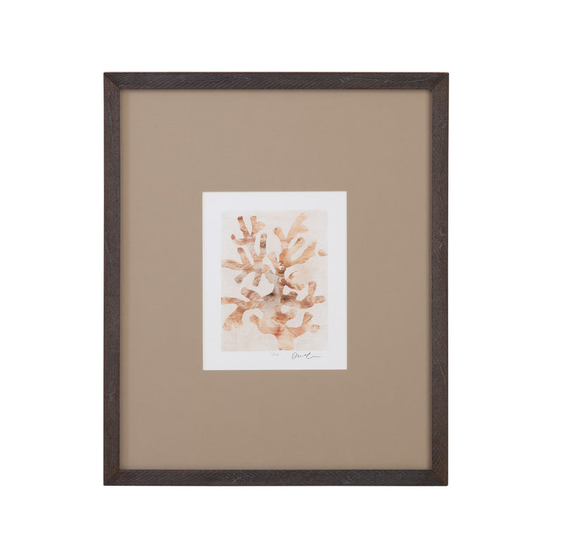 Parchment Coral - I Framed Print - Brown