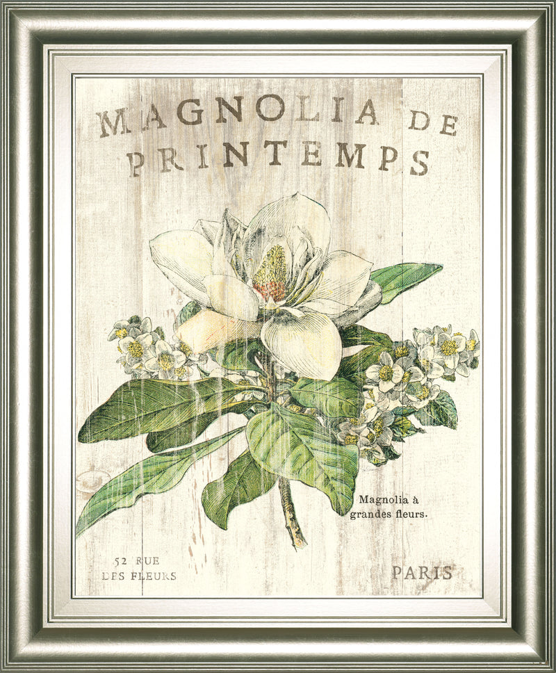 Magnolia De Printemps By Sue Schlabach - White