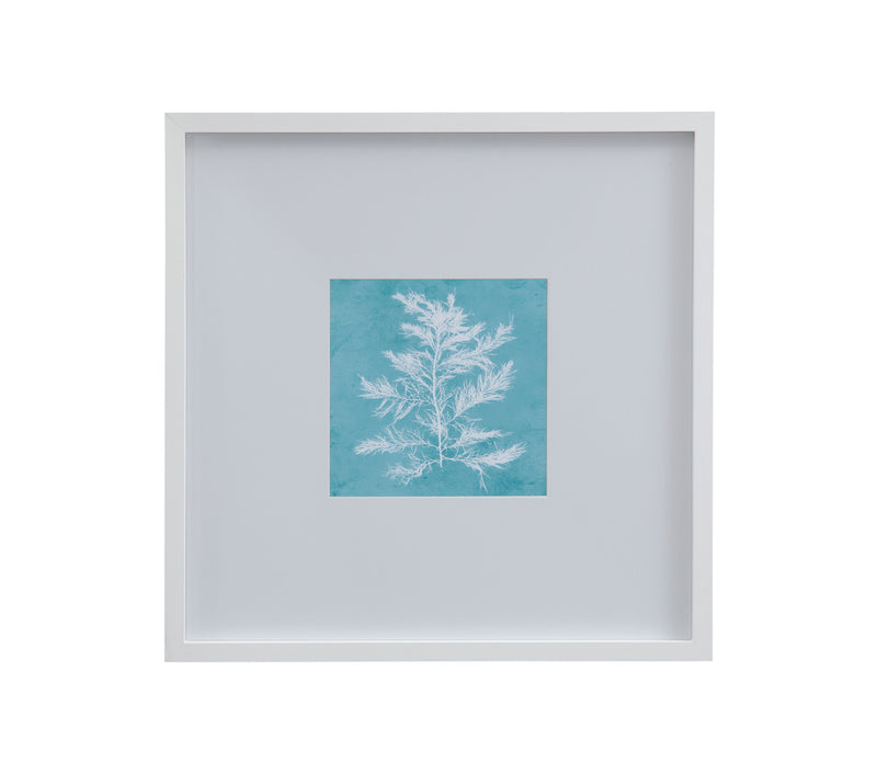 White Coral On Blue - IV Framed Print - Blue / White