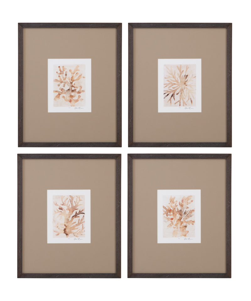 Parchment Coral - Framed Print (Set of 4) - Brown