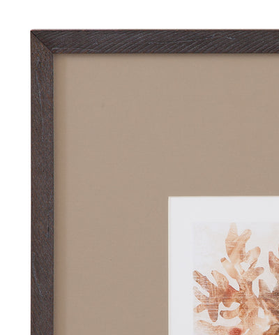 Parchment Coral - IV Framed Print - Brown