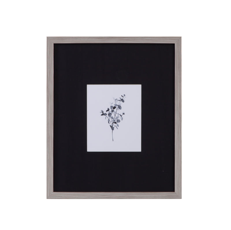 Brume Botanical - IV Framed Print - Black / Gray