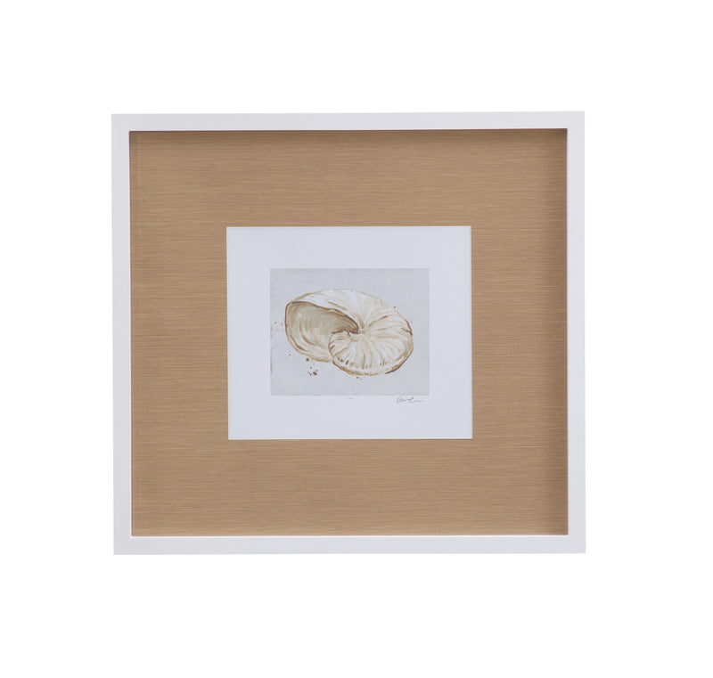 Neutral Shell Fresco - I Framed Print - Light Brown / White