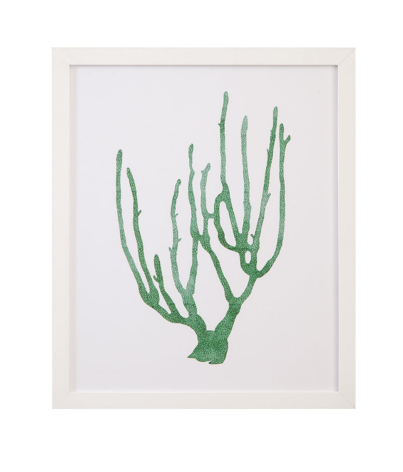 Coral Souvenirs - II Framed Print - Green