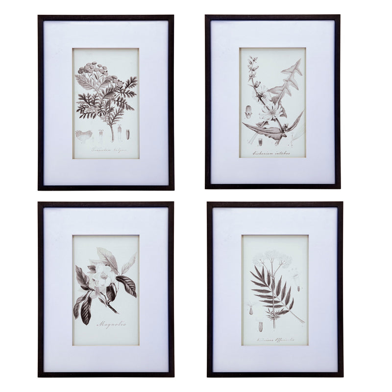 Botanical Wall Art Prints, Home Decor For Living Room, Dining Room, Bedroom, Hallway (Set of 4) - White / Black