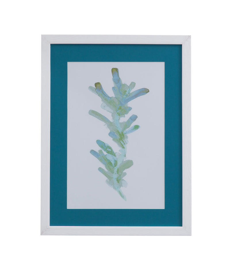 Watercolor Seaweed - I Framed Print - Blue / White