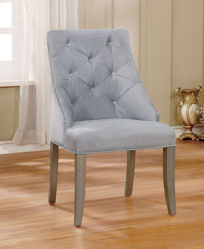 Diocles - Side Chair (Set of 2) - Silver / Gray - Grand Furniture GA