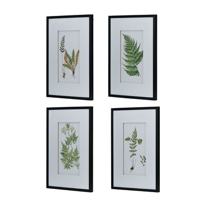 Botanical Fern Wall Art, Wall Decor For Living Room Dining Room Entryway (Set of 4) - Black / White