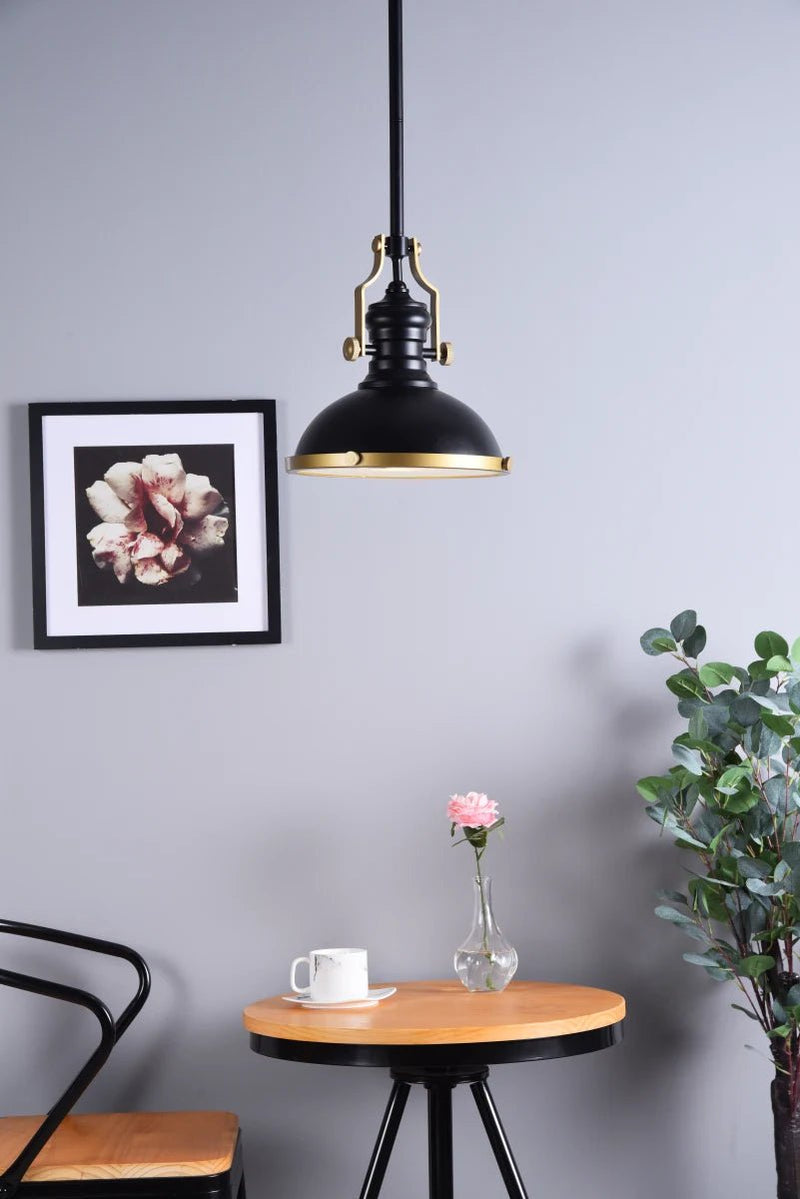 Elegant Lighting Eamon 13" Wide Pendant with an Aluminum Shade LD5001D13ORB - Grand Furniture GA