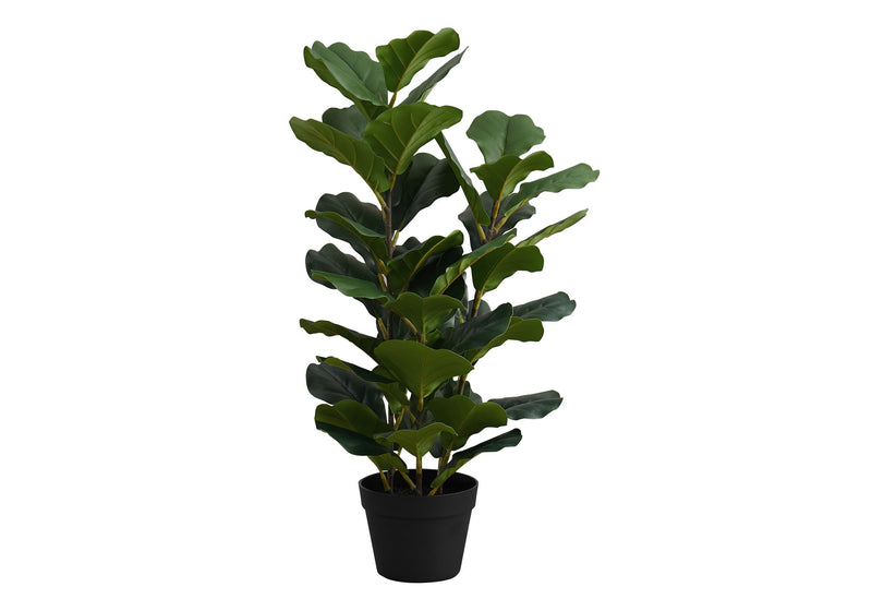 Artificial Plant, 32" Tall, Fiddle Tree, Indoor, Faux, Fake, Floor, Greenery, Potted, Real Touch, Decorative - Green / Black