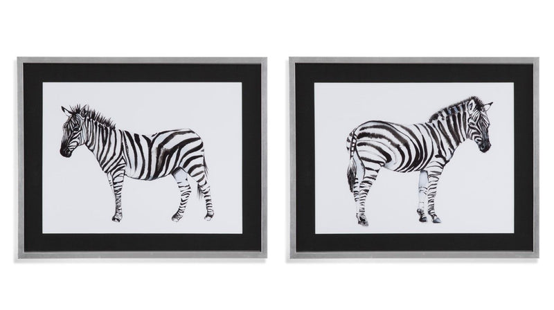 Standing Zebra II - Framed Print - Black