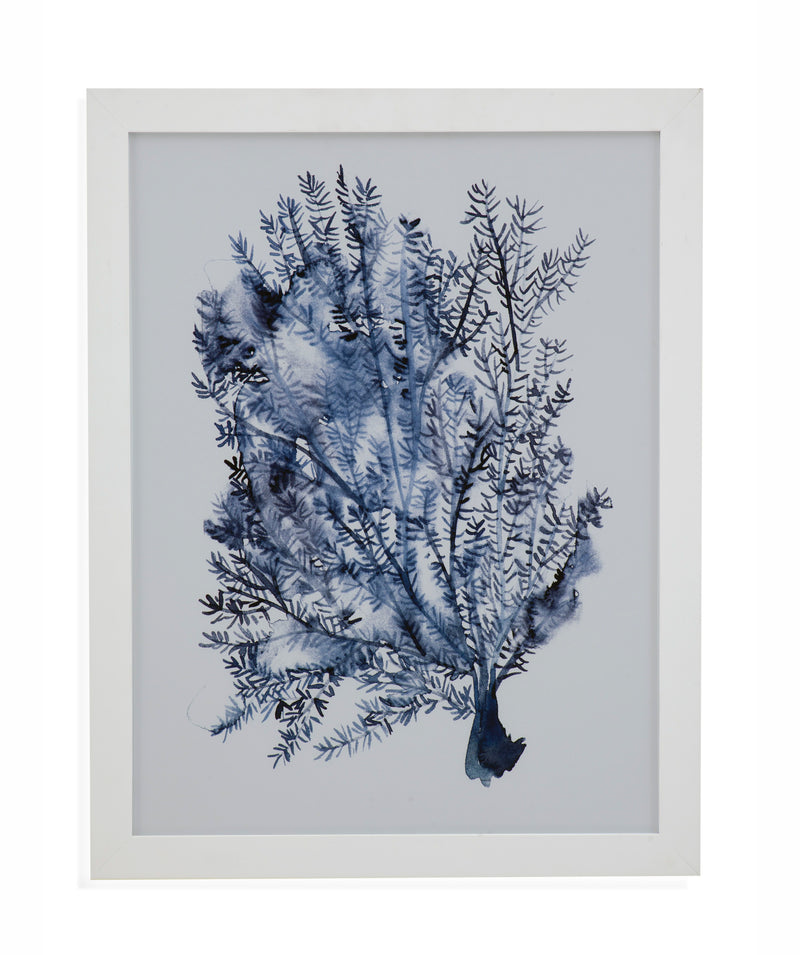 Seaweed Under Water II - Framed Print - Blue