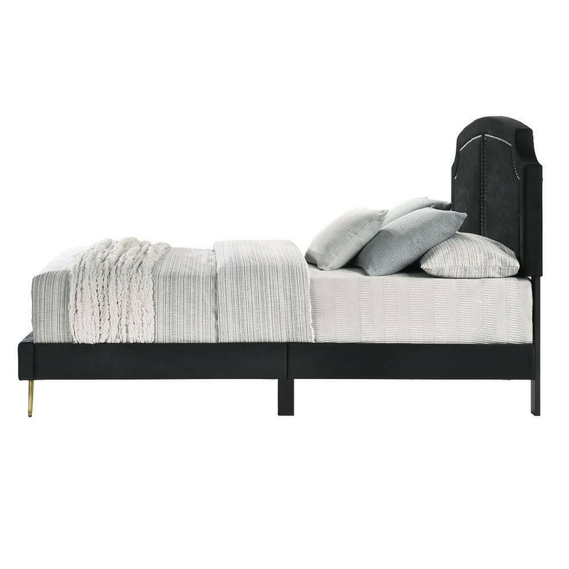 Zeena - Full Bed - Black Velvet - Grand Furniture GA