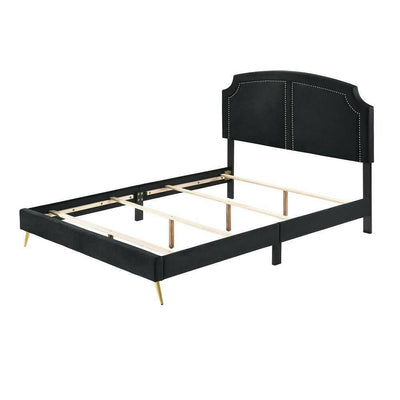 Zeena - Full Bed - Black Velvet - Grand Furniture GA