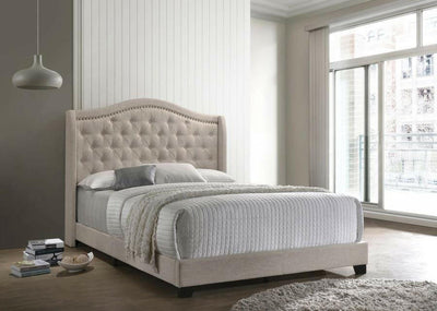 Sonoma - Headboard Bed with Nailhead Trim - Grand Furniture GA